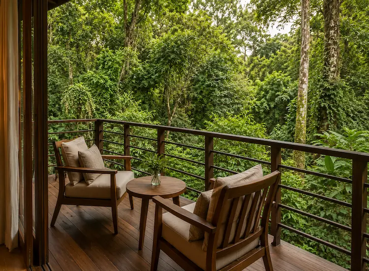 Balcón de la habitación Clásica con vista a la selva - Hotel Yaguas
