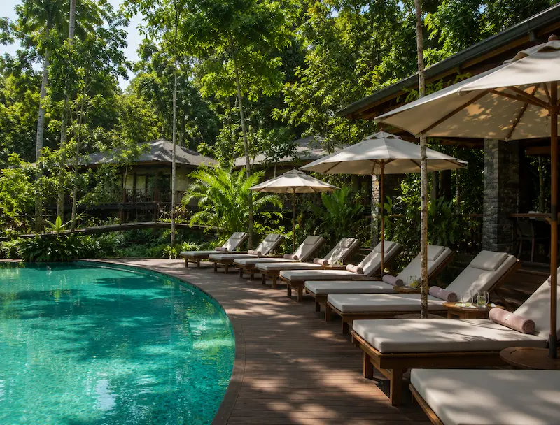 Reposeras junto a la piscina con selva al fondo - Hotel Yaguas